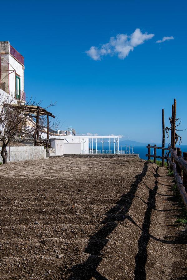 Villa La Tagliata Spectacular Jacuzzi Tub Amazing View And Private Parking Garage بوسيتانو المظهر الخارجي الصورة