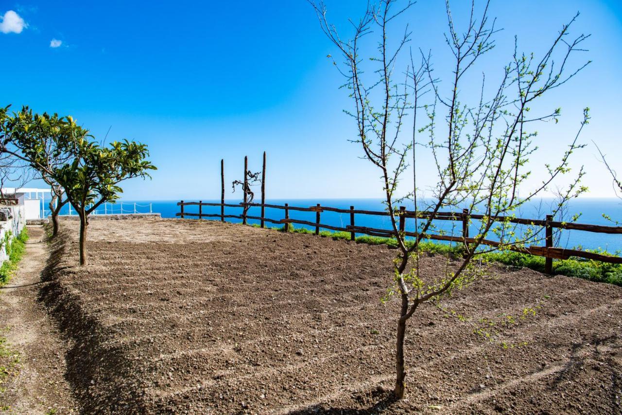 Villa La Tagliata Spectacular Jacuzzi Tub Amazing View And Private Parking Garage بوسيتانو المظهر الخارجي الصورة